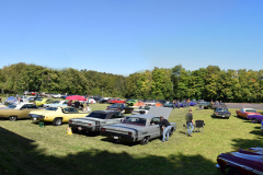 DSC_0854Platzvoll