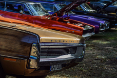 DSC_0961kl